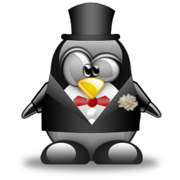 penguin pingouin pinguino 283